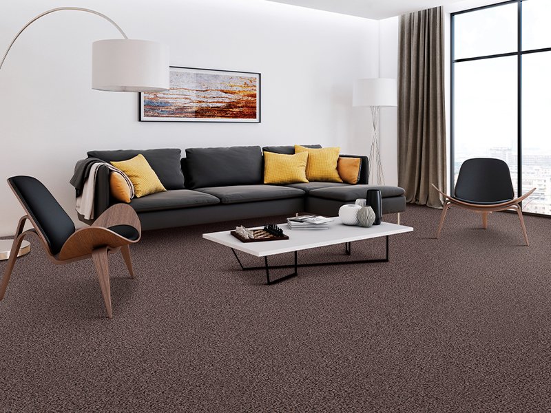 Living Rooms and Family Rooms