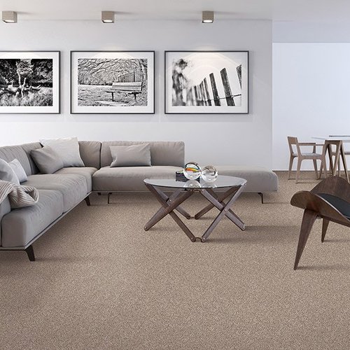 Contemporary carpet in Wentzville from Beseda Flooring & More